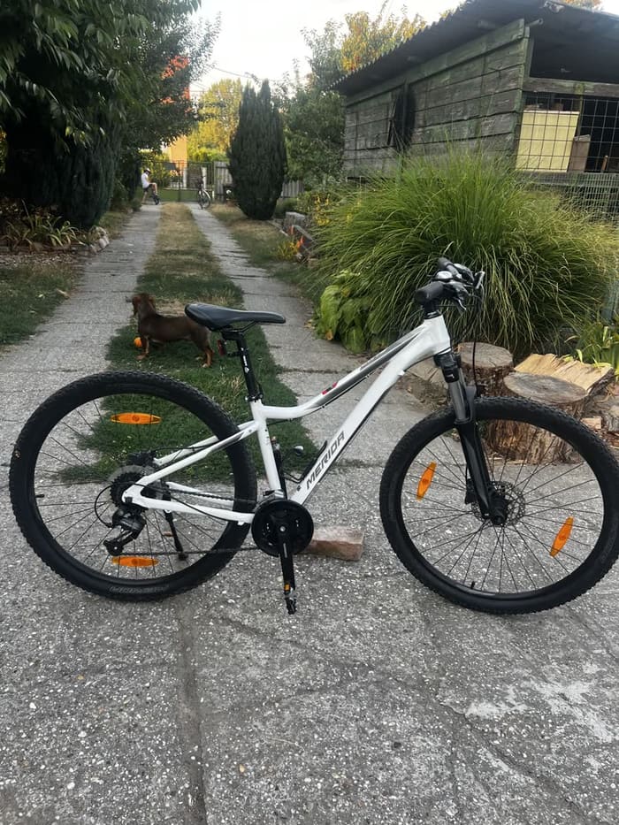 Fehér Merida MTB kerékpár — felújított, eladó kerékpár